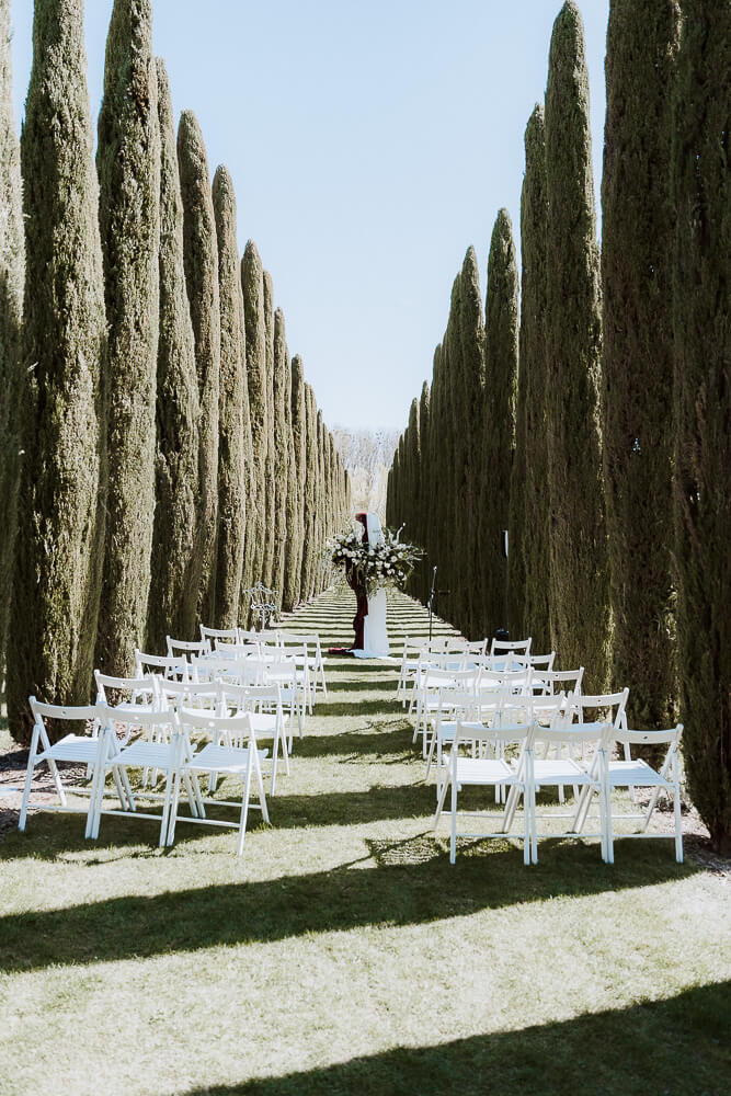 Hochzeitsfotos Weingut Pfalz RLP